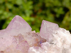 Natural Large Sunburnt Ametrine Spirit Quartz Cluster x 1 From Boekenhouthoek, South Africa - Toprock Gemstones and Minerals 