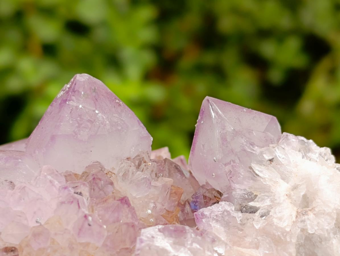 Natural Large Sunburnt Ametrine Spirit Quartz Cluster x 1 From Boekenhouthoek, South Africa - Toprock Gemstones and Minerals 