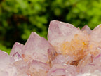 Natural Large Sunburnt Ametrine Spirit Quartz Cluster x 1 From Boekenhouthoek, South Africa - Toprock Gemstones and Minerals 