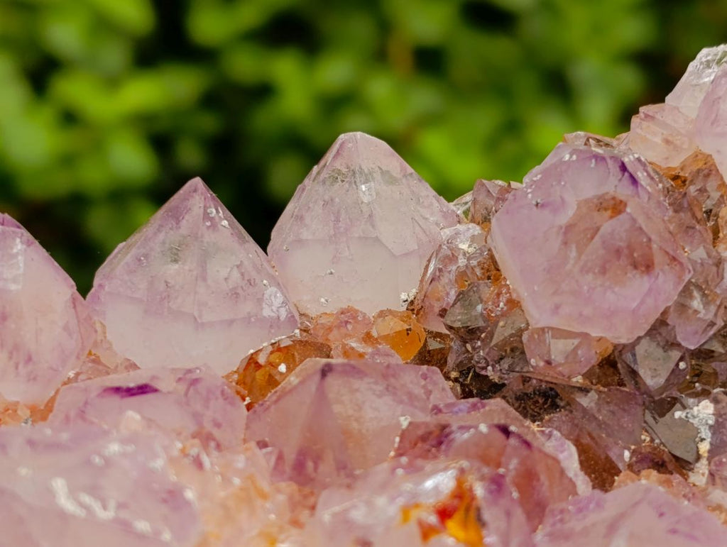 Natural Large Sunburnt Ametrine Spirit Quartz Cluster x 1 From Boekenhouthoek, South Africa - Toprock Gemstones and Minerals 