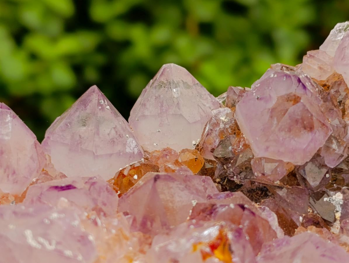 Natural Large Sunburnt Ametrine Spirit Quartz Cluster x 1 From Boekenhouthoek, South Africa - Toprock Gemstones and Minerals 
