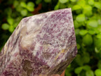 Polished Large Lepidolite Display Crystal x 1 From Ambatondrazaka, Madagascar - Toprock Gemstones and Minerals 
