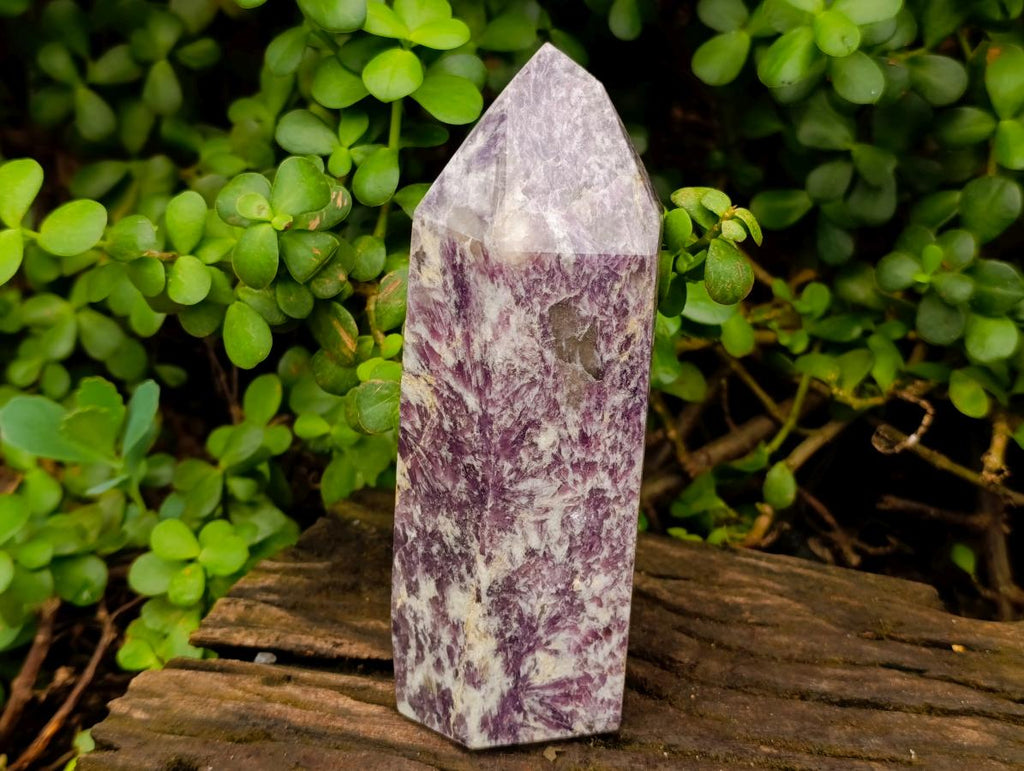 Polished Large Lepidolite Display Crystal x 1 From Ambatondrazaka, Madagascar - Toprock Gemstones and Minerals 