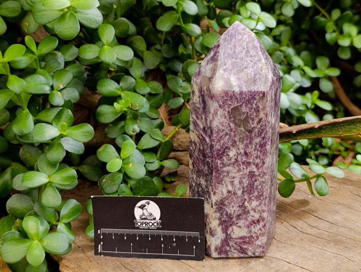 Polished Large Lepidolite Display Crystal x 1 From Ambatondrazaka, Madagascar - Toprock Gemstones and Minerals 