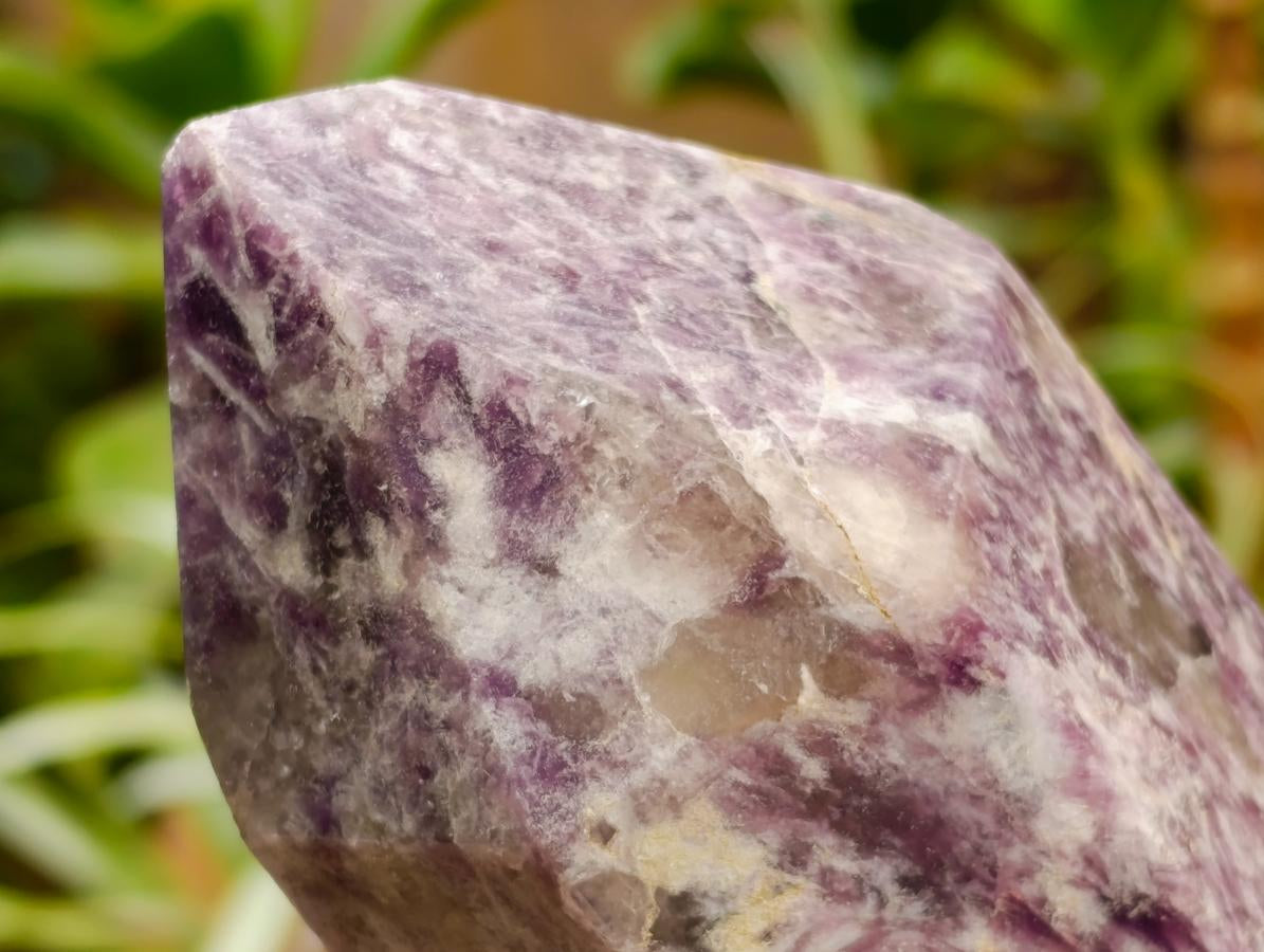 Polished Large Lepidolite Display Crystal x 1 From Ambatondrazaka, Madagascar - Toprock Gemstones and Minerals 