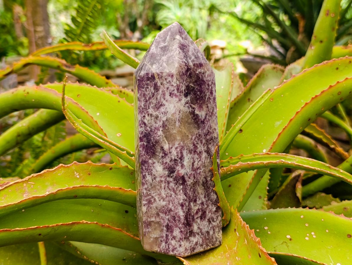 Polished Large Lepidolite Display Crystal x 1 From Ambatondrazaka, Madagascar - Toprock Gemstones and Minerals 