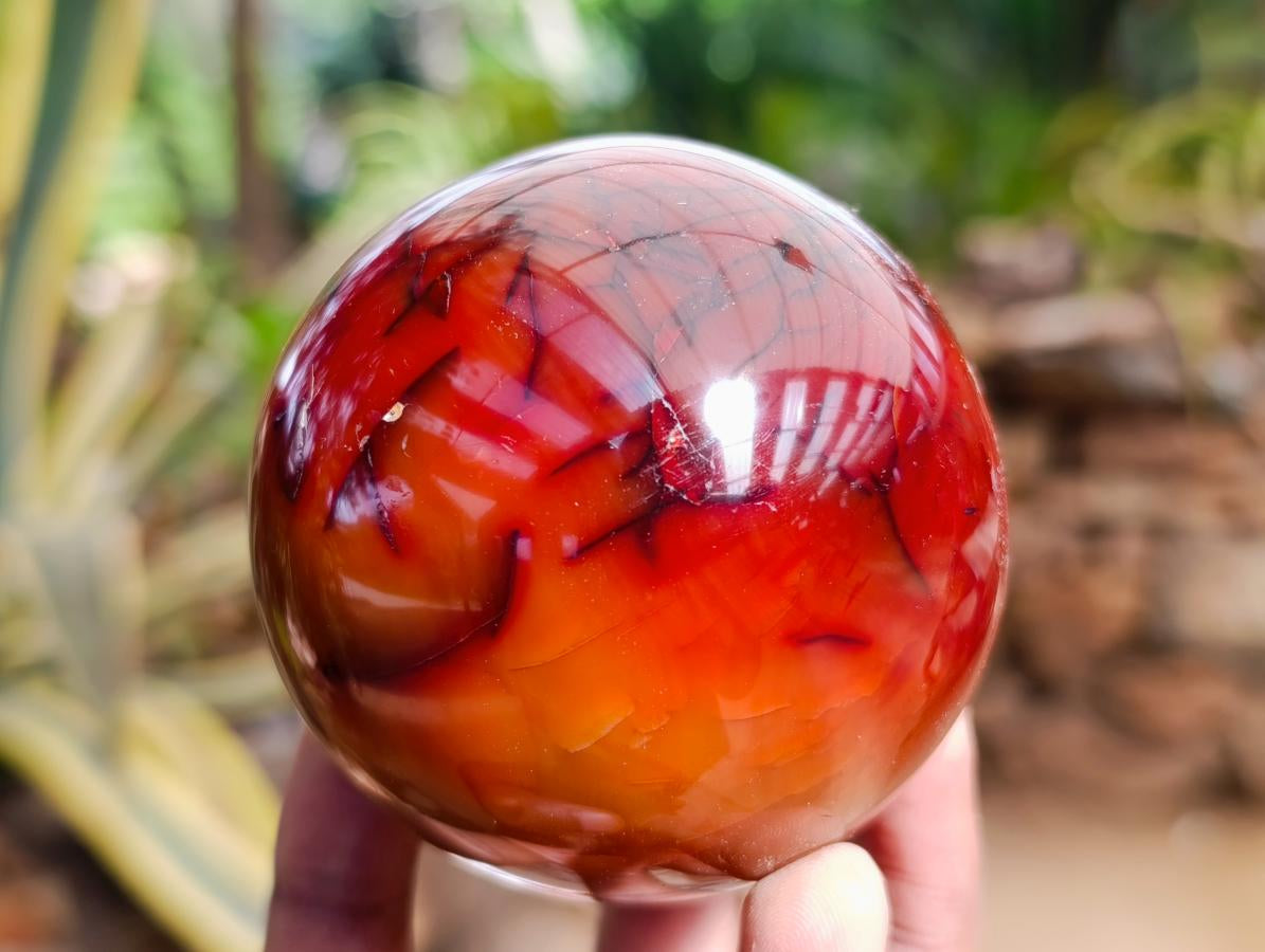 Polished Carnelian Agate Gemstone Spheres x 3 From Madagascar - Toprock Gemstones and Minerals 