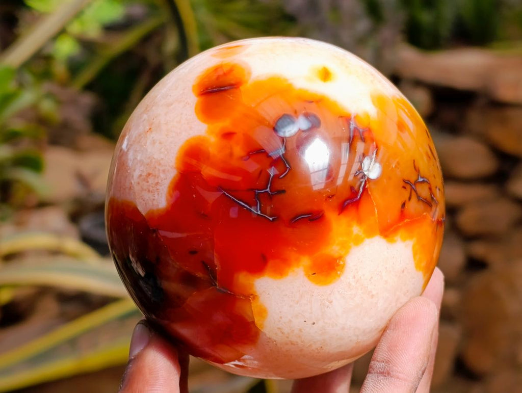 Polished Carnelian Agate Gemstone Spheres x 3 From Madagascar - Toprock Gemstones and Minerals 