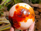 Polished Carnelian Agate Gemstone Spheres x 3 From Madagascar - Toprock Gemstones and Minerals 