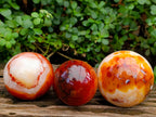 Polished Carnelian Agate Gemstone Spheres x 3 From Madagascar - Toprock Gemstones and Minerals 