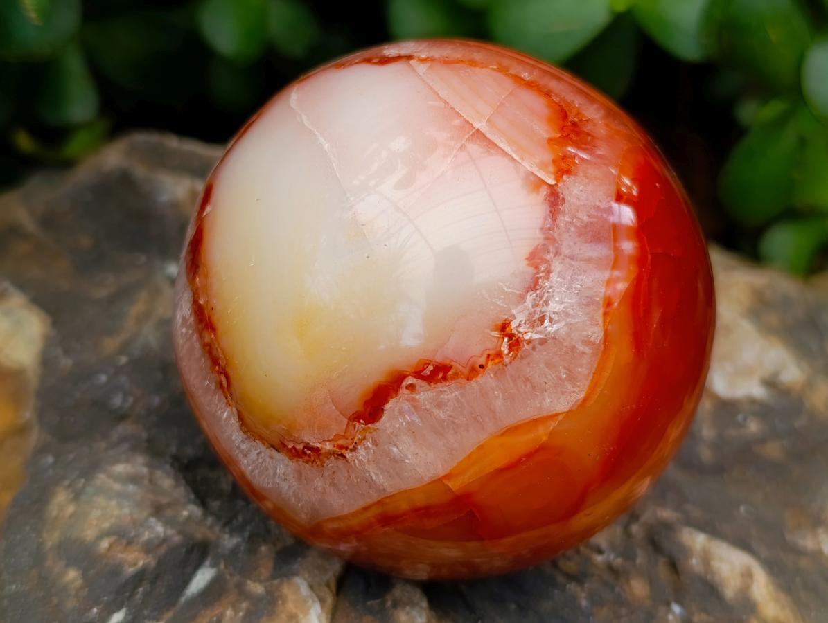 Polished Carnelian Agate Gemstone Spheres x 3 From Madagascar - Toprock Gemstones and Minerals 