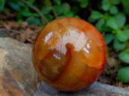 Polished Carnelian Agate Gemstone Spheres x 3 From Madagascar - Toprock Gemstones and Minerals 