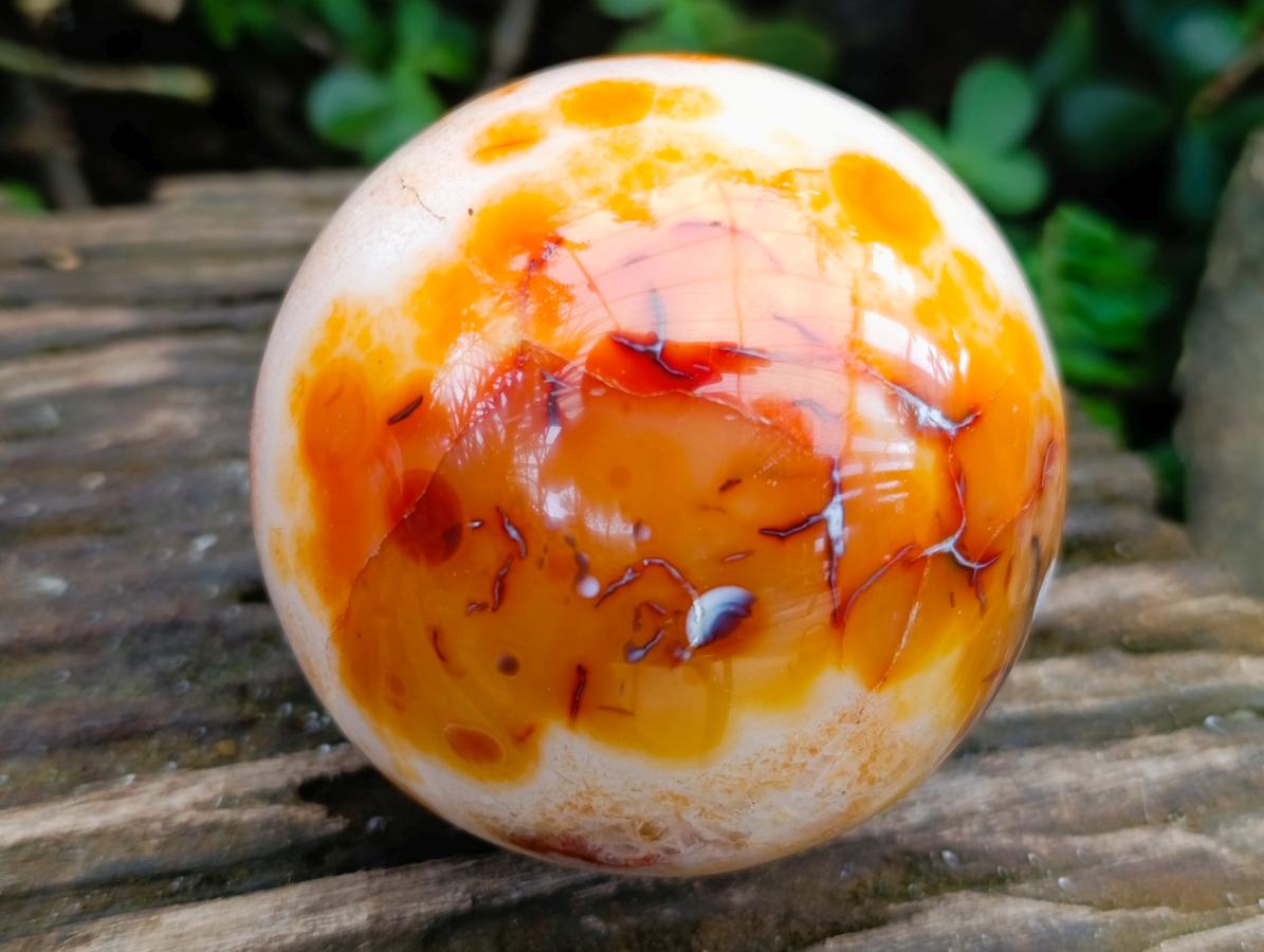 Polished Carnelian Agate Gemstone Spheres x 3 From Madagascar - Toprock Gemstones and Minerals 