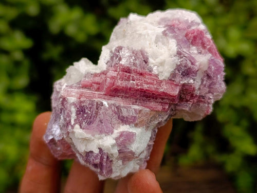 Natural Pink Rubellite Tourmaline Specimens x 12 From Karibib, Namibia - Toprock Gemstones and Minerals 