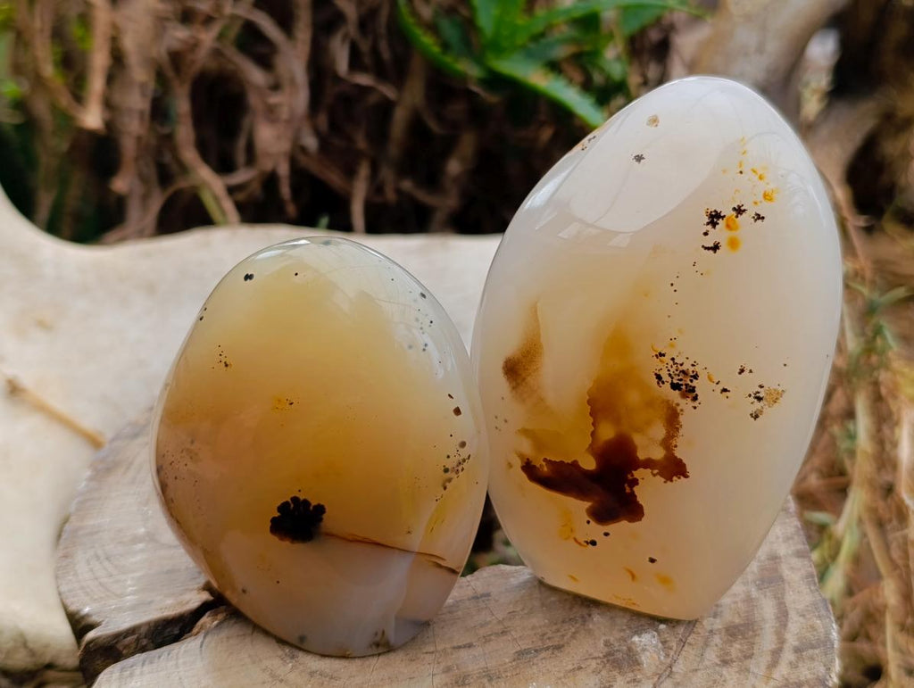 Polished Dendritic Agate Standing Free Forms x 5 From Moralambo, Madagascar - Toprock Gemstones and Minerals 