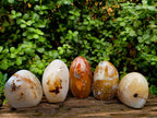 Polished Dendritic Agate Standing Free Forms x 5 From Moralambo, Madagascar - Toprock Gemstones and Minerals 