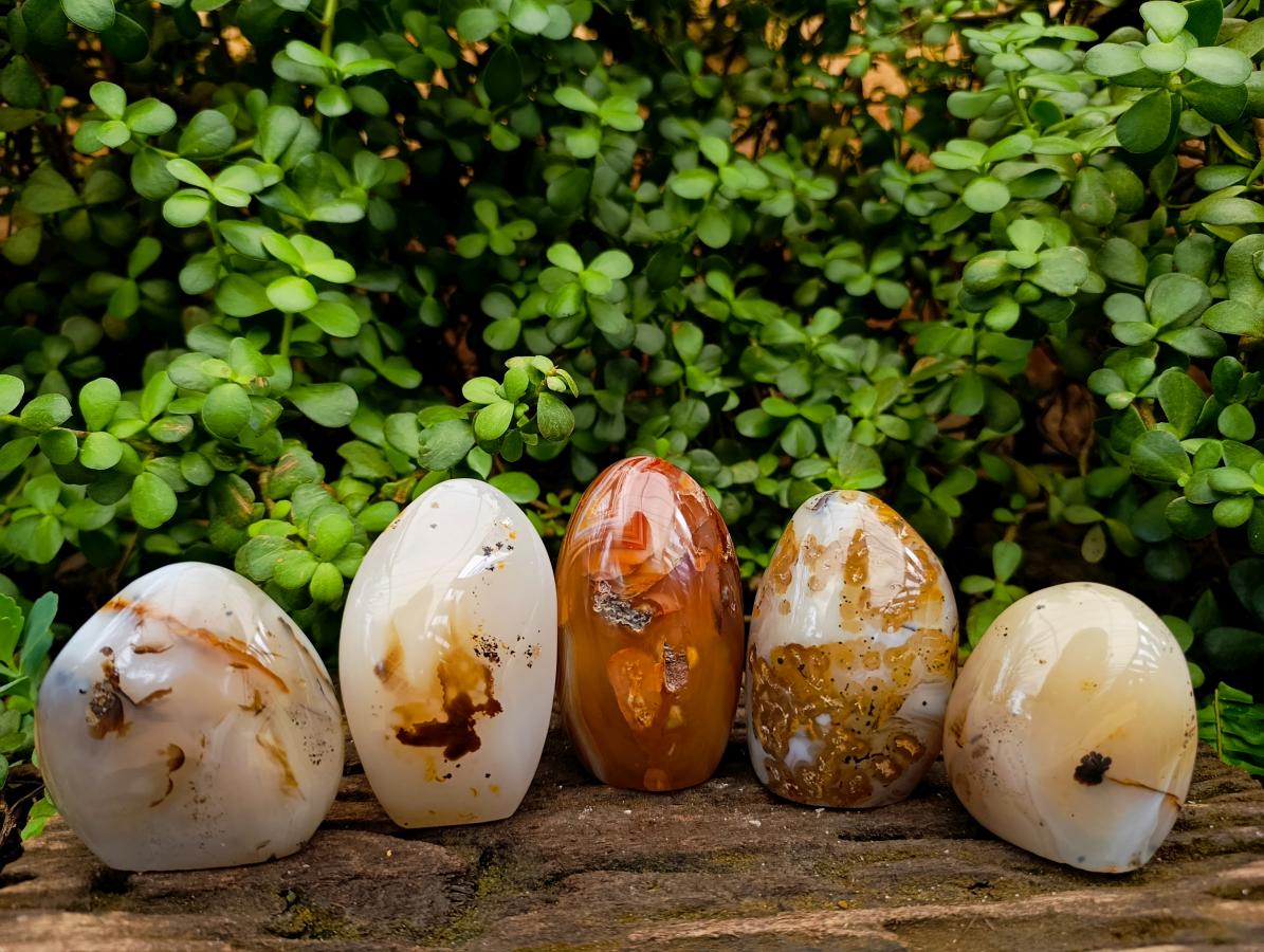 Polished Dendritic Agate Standing Free Forms x 5 From Moralambo, Madagascar - Toprock Gemstones and Minerals 