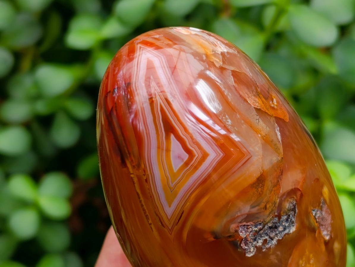 Polished Dendritic Agate Standing Free Forms x 5 From Moralambo, Madagascar - Toprock Gemstones and Minerals 