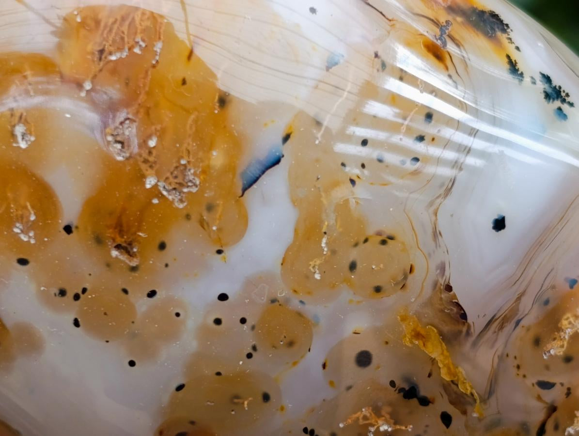 Polished Dendritic Agate Standing Free Forms x 5 From Moralambo, Madagascar - Toprock Gemstones and Minerals 