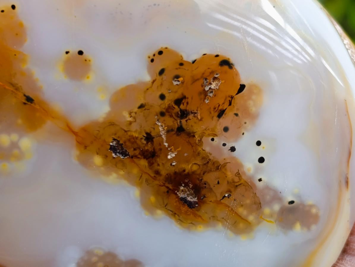 Polished Dendritic Agate Standing Free Forms x 5 From Moralambo, Madagascar - Toprock Gemstones and Minerals 