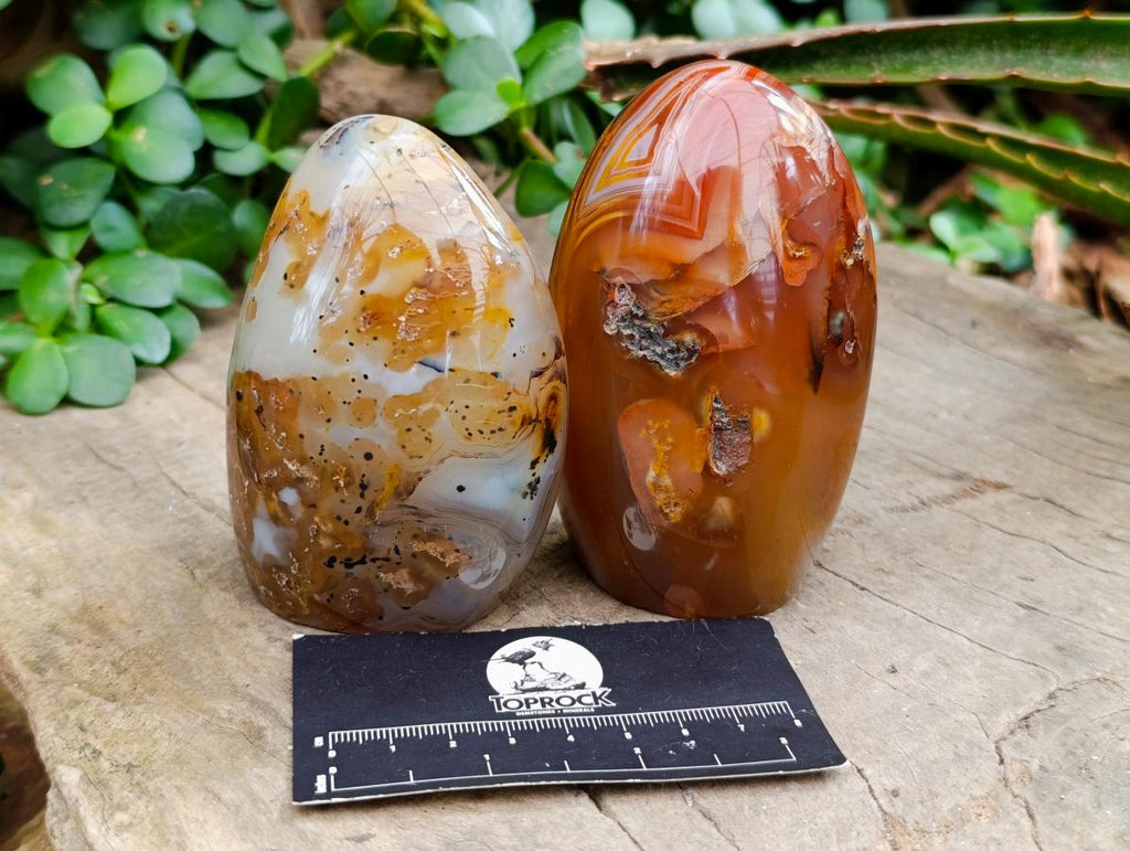 Polished Dendritic Agate Standing Free Forms x 5 From Moralambo, Madagascar - Toprock Gemstones and Minerals 