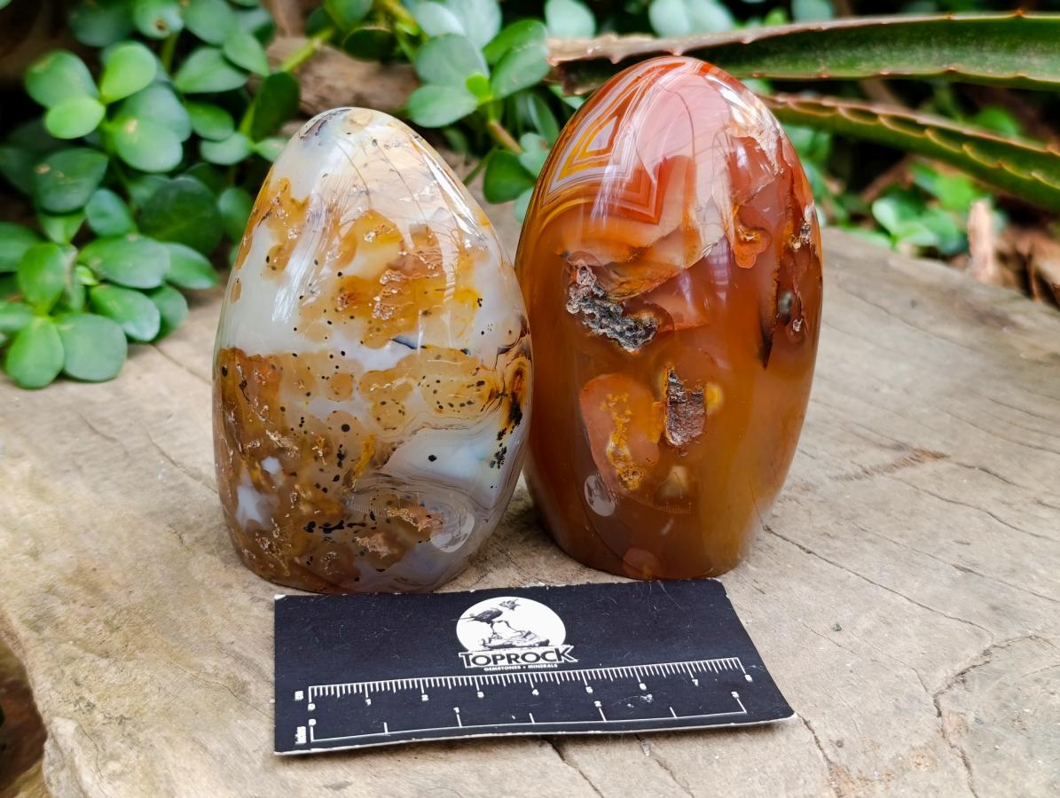 Polished Dendritic Agate Standing Free Forms x 5 From Moralambo, Madagascar - Toprock Gemstones and Minerals 