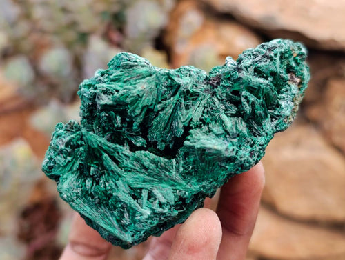 Natural Silky Malachite Specimens x 6 From Kasompe, Congo - Toprock Gemstones and Minerals 