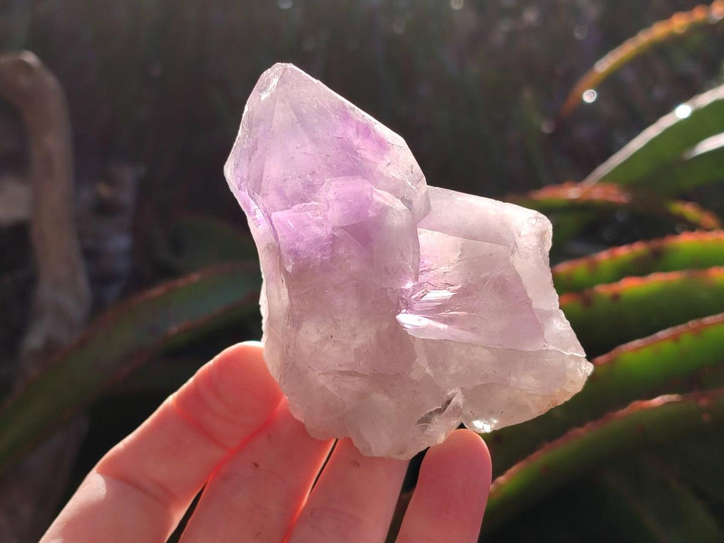 Natural Jacaranda Amethyst Single Crystals x 12 From Mumbwa, Zambia - Toprock Gemstones and Minerals 