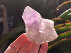 Natural Jacaranda Amethyst Single Crystals x 12 From Mumbwa, Zambia - Toprock Gemstones and Minerals 