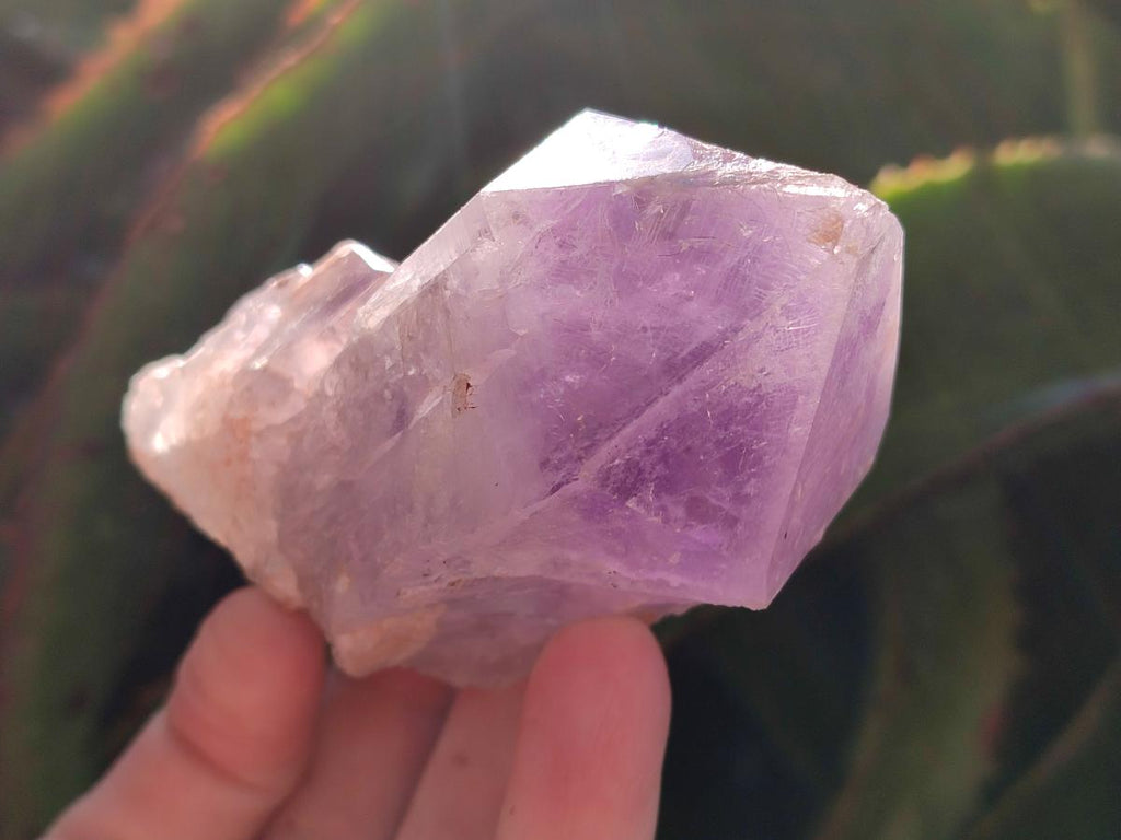 Natural Jacaranda Amethyst Single Crystals x 12 From Mumbwa, Zambia - Toprock Gemstones and Minerals 