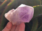 Natural Jacaranda Amethyst Single Crystals x 12 From Mumbwa, Zambia - Toprock Gemstones and Minerals 