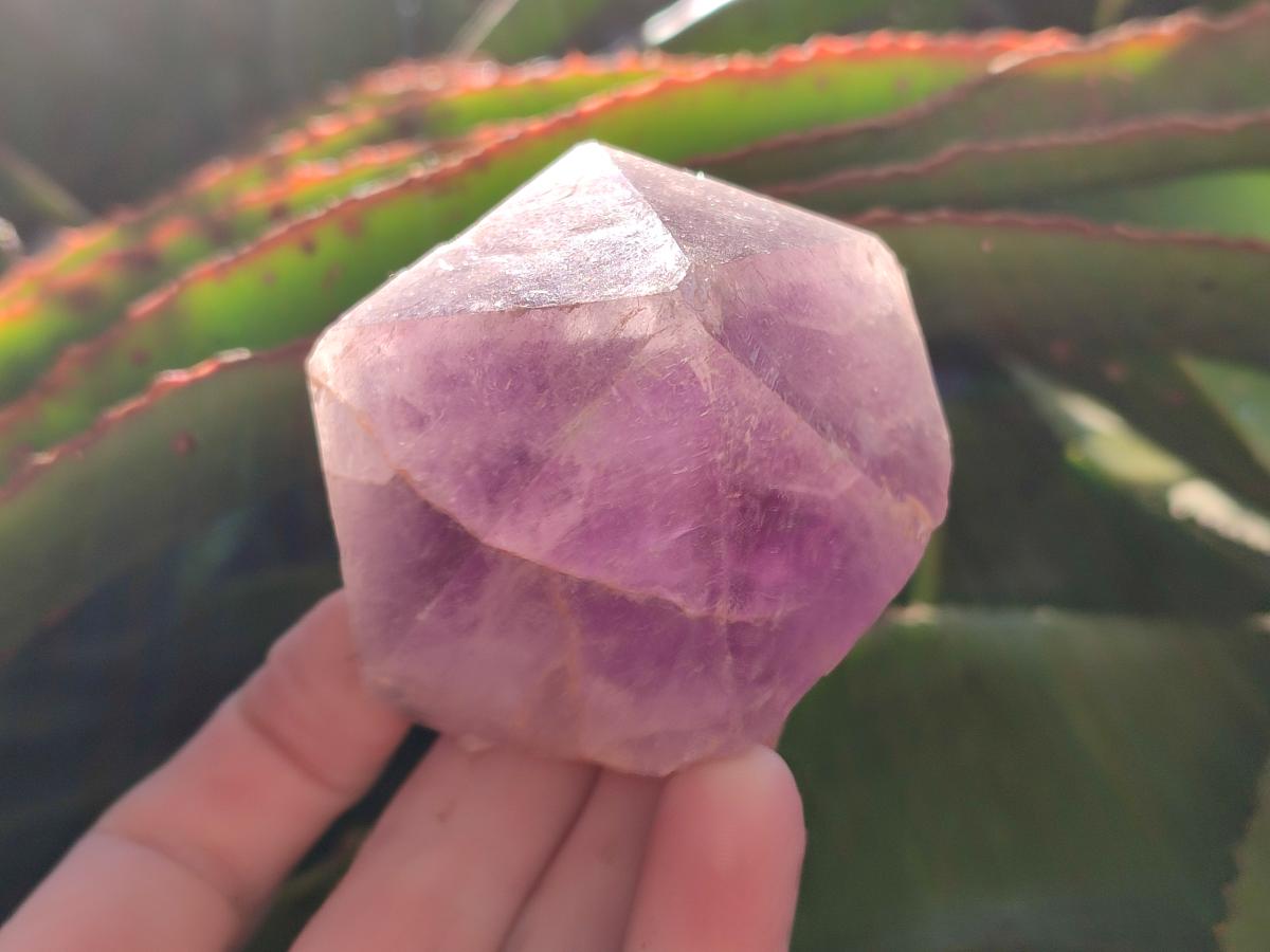 Natural Jacaranda Amethyst Single Crystals x 12 From Mumbwa, Zambia - Toprock Gemstones and Minerals 