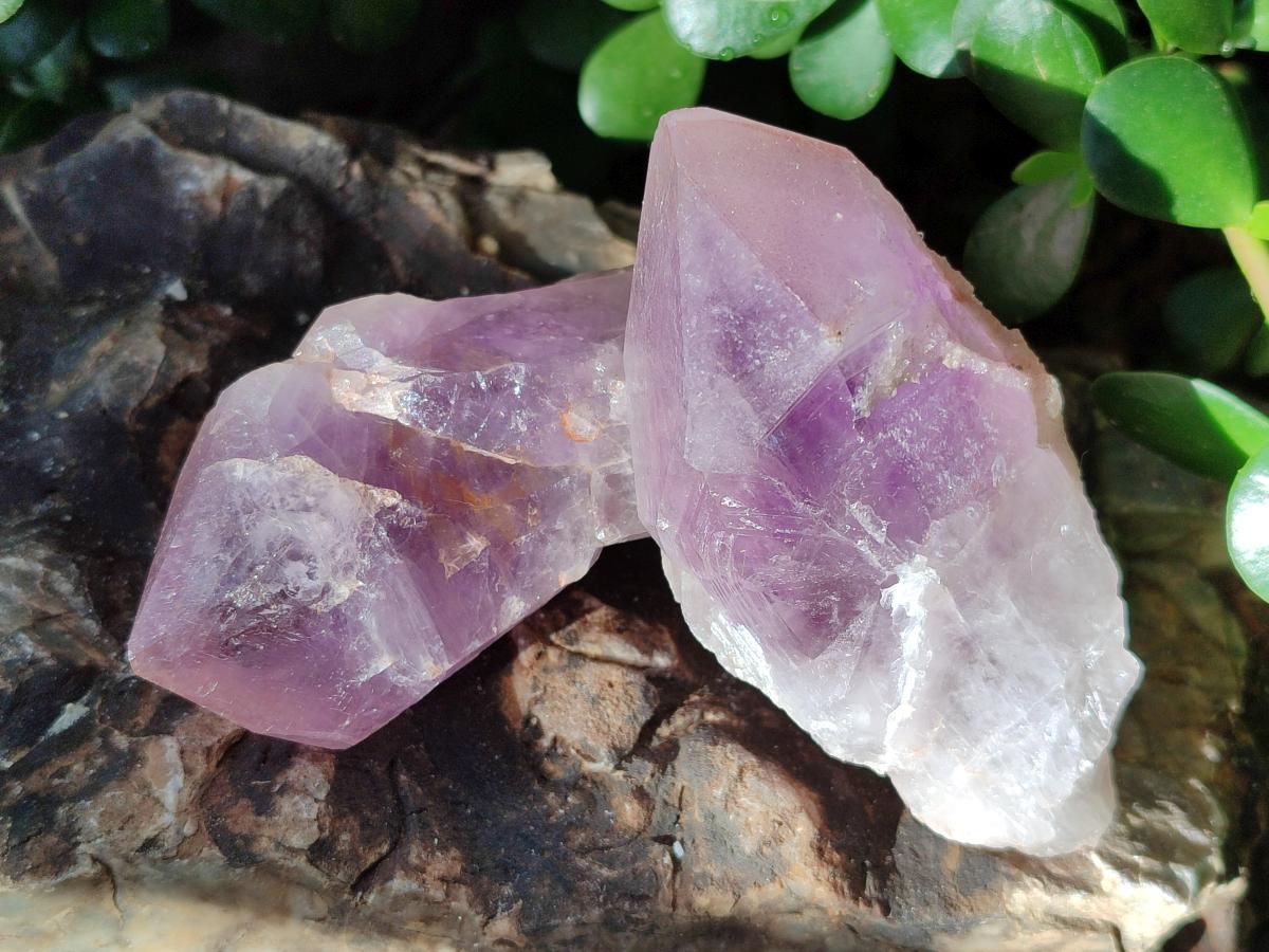 Natural Jacaranda Amethyst Single Crystals x 12 From Mumbwa, Zambia - Toprock Gemstones and Minerals 