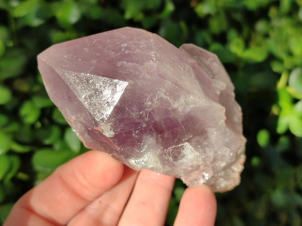 Natural Jacaranda Amethyst Single Crystals x 12 From Mumbwa, Zambia - Toprock Gemstones and Minerals 