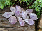 Natural Jacaranda Amethyst Single Crystals x 12 From Mumbwa, Zambia - Toprock Gemstones and Minerals 