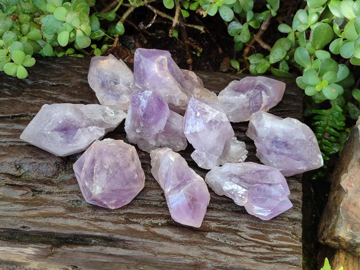 Natural Jacaranda Amethyst Single Crystals x 12 From Mumbwa, Zambia - Toprock Gemstones and Minerals 