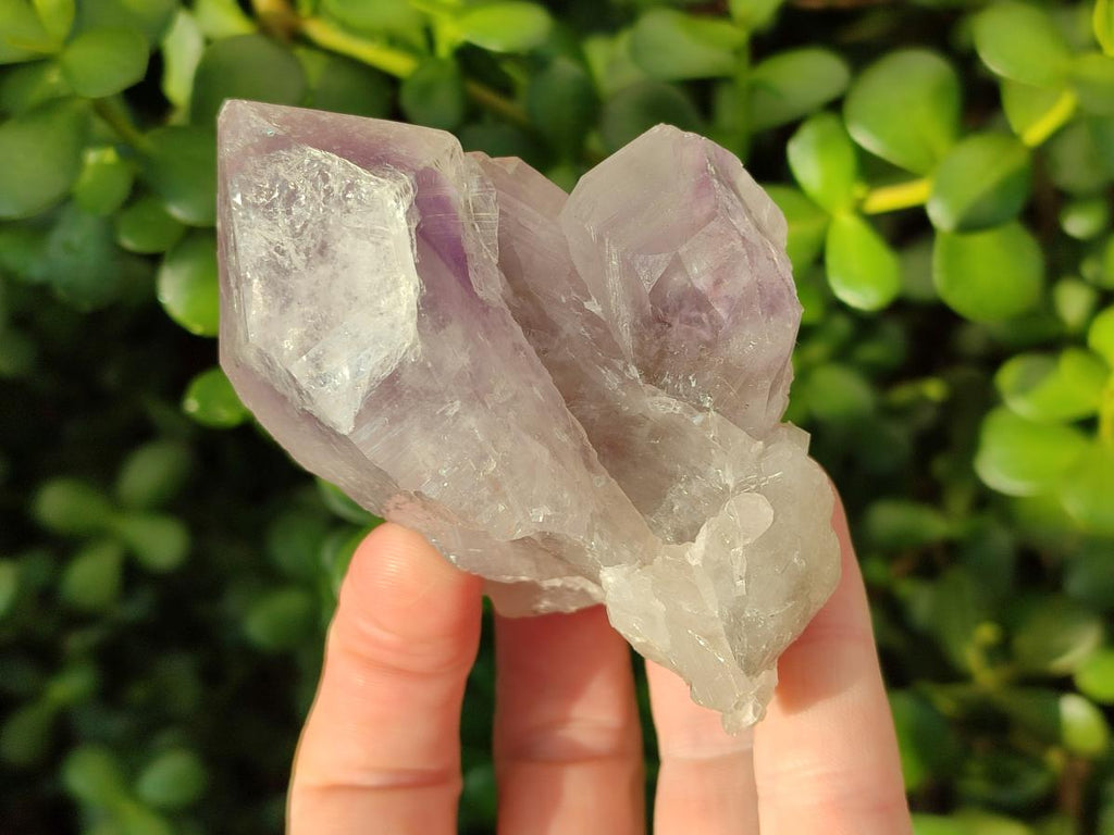 Natural Jacaranda Amethyst Single Crystals x 12 From Mumbwa, Zambia - Toprock Gemstones and Minerals 
