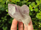 Natural Jacaranda Amethyst Single Crystals x 12 From Mumbwa, Zambia - Toprock Gemstones and Minerals 