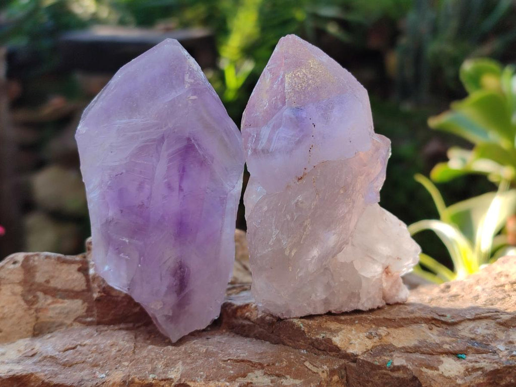 Natural Jacaranda Amethyst Single Crystals x 12 From Mumbwa, Zambia - Toprock Gemstones and Minerals 