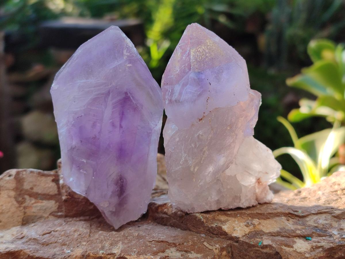 Natural Jacaranda Amethyst Single Crystals x 12 From Mumbwa, Zambia - Toprock Gemstones and Minerals 