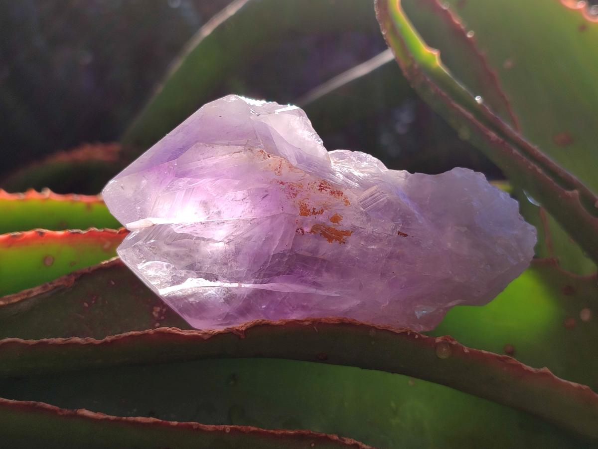 Natural Jacaranda Amethyst Single Crystals x 12 From Mumbwa, Zambia - Toprock Gemstones and Minerals 