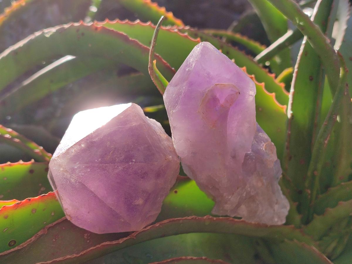 Natural Jacaranda Amethyst Single Crystals x 12 From Mumbwa, Zambia - Toprock Gemstones and Minerals 
