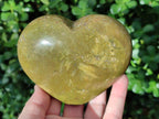 Polished Green Opal Hearts x 6 From Betroka, Madagascar - Toprock Gemstones and Minerals 
