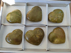 Polished Green Opal Hearts x 6 From Betroka, Madagascar - Toprock Gemstones and Minerals 