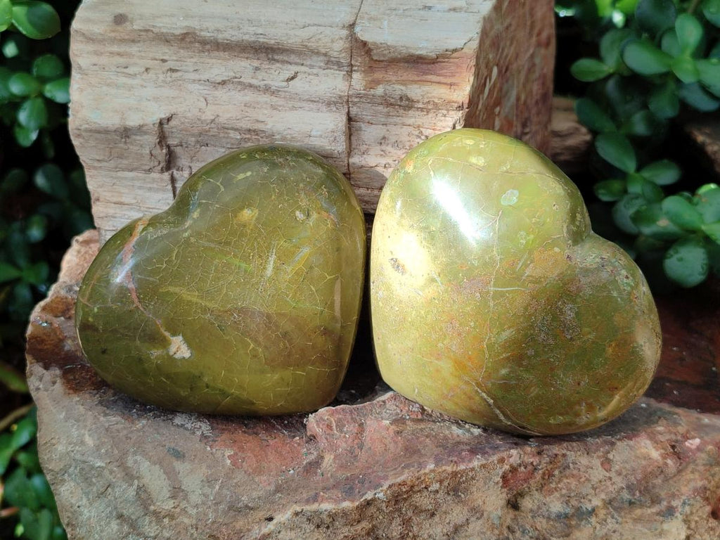 Polished Green Opal Hearts x 6 From Betroka, Madagascar - Toprock Gemstones and Minerals 