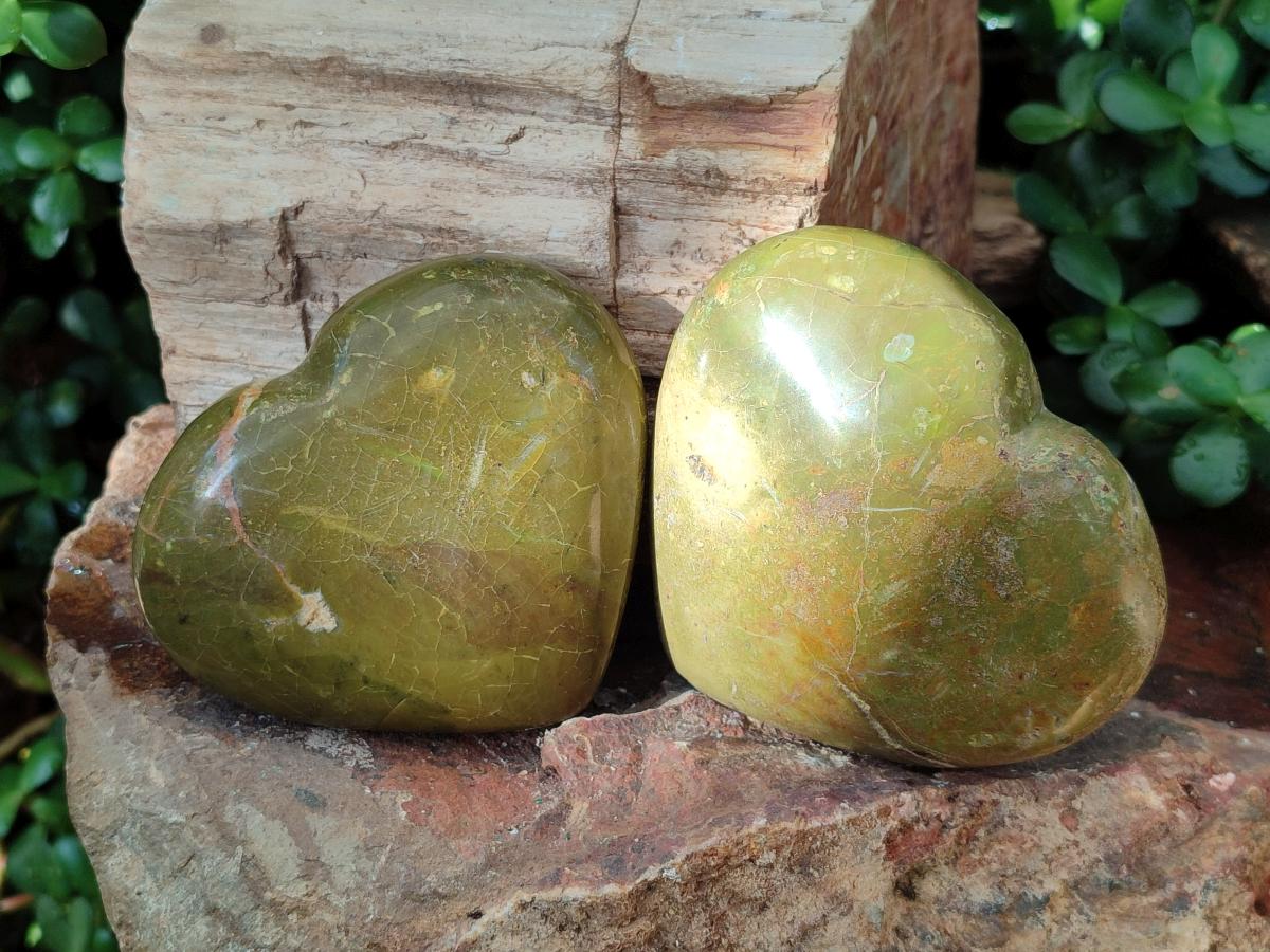 Polished Green Opal Hearts x 6 From Betroka, Madagascar - Toprock Gemstones and Minerals 