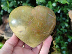 Polished Green Opal Hearts x 6 From Betroka, Madagascar - Toprock Gemstones and Minerals 