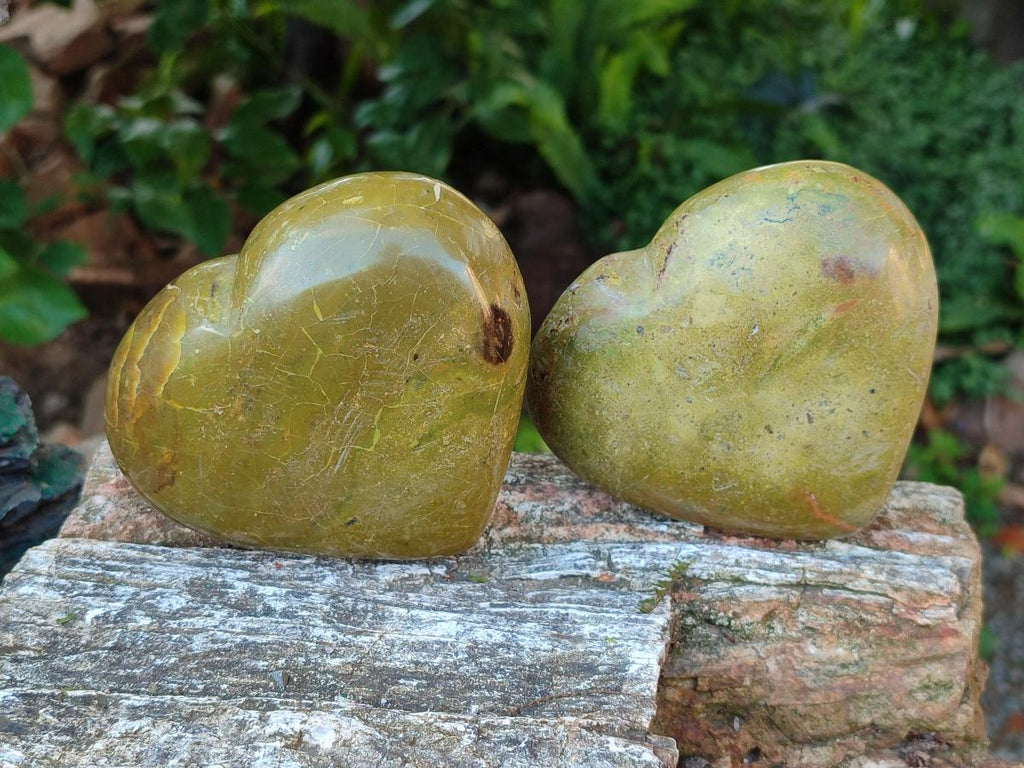 Polished Green Opal Hearts x 6 From Betroka, Madagascar - Toprock Gemstones and Minerals 