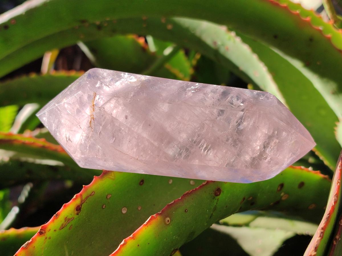 Polished Double Terminated Gemmy Rose Quartz Crystals x 6 From Madagascar - Toprock Gemstones and Minerals 