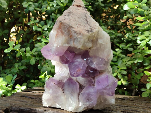 Natural Large Jacaranda Amethyst Crystal Geode x 1 From Mumbwa, Zambia - Toprock Gemstones and Minerals 
